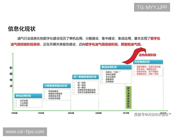 疫情中的企业家应对策略与创新之路：挑战、转型与未来机遇分析