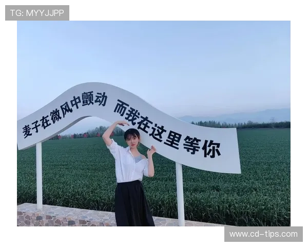 高标准一直都在这里未曾动摇过